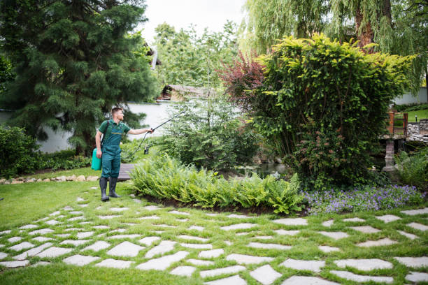 Best Pest Removal Services  in Dayton, IN