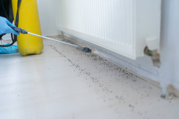 Best Pest Control for Homes  in Dayton, IN