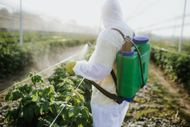 Best Mosquito Control Services  in Dayton, IN